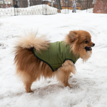 Зимняя куртка (жилетка) для выгула собак Hitvest L зеленый-3