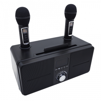 Беспроводная Bluetooth караоке система SD-309 с микрофонами-2