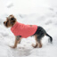Зимняя куртка (жилетка) для выгула собак Hitvest M розовый-3