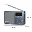 Цифровой всеволновой радиоприемник с mp3 плеером Tecsun ICR-110-3